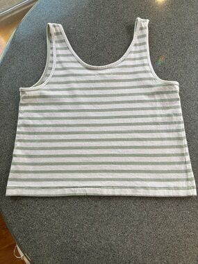 Madewell Striped Tank Top in Sage Green and White